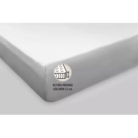 Housse de Couette 38 Marron Burrito Blanco