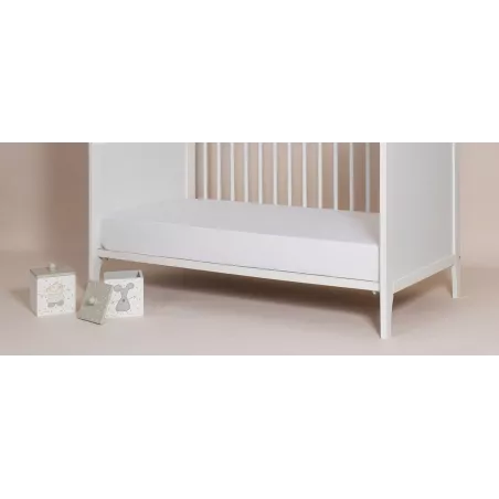 Bajera culla Antiacari Velfont