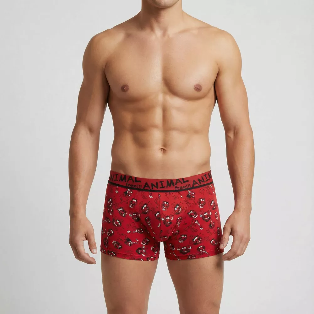 Boxer Tier Admas