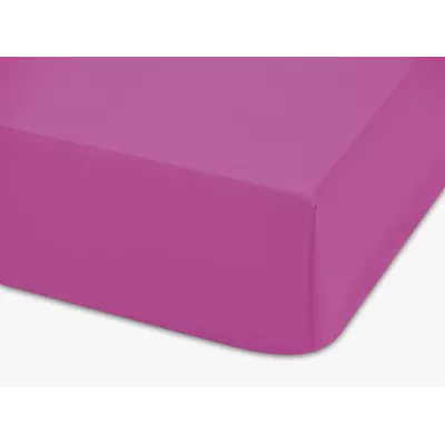 Bajera Poli 2 Abecé Casa