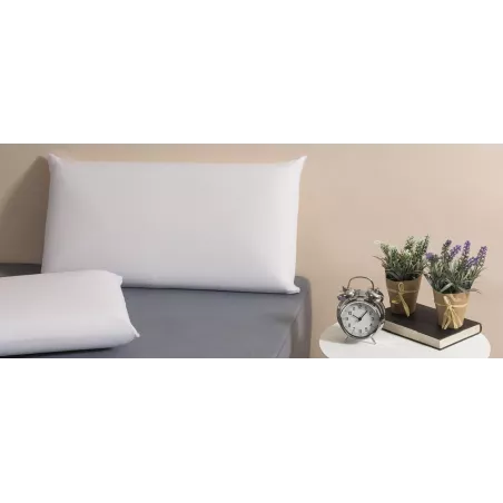 Visco Antiallergen Kissen Aler Protech Velfont
