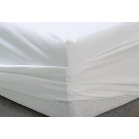Drap-housse Point Anti-allergènes Velfont